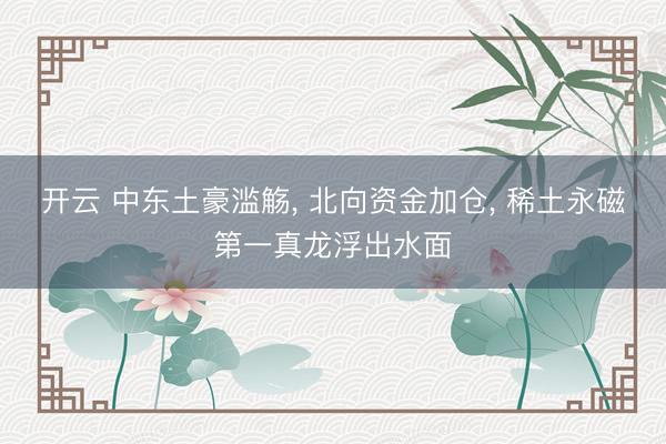开云 中东土豪滥觞, 北向资金加仓, 稀土永磁第一真龙浮出水面