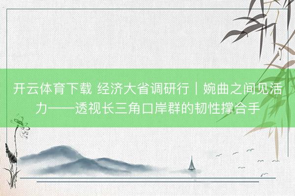 开云体育下载 经济大省调研行｜婉曲之间见活力——透视长三角口岸群的韧性撑合手